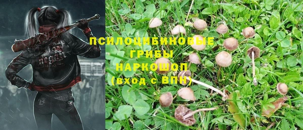 стафф Богданович