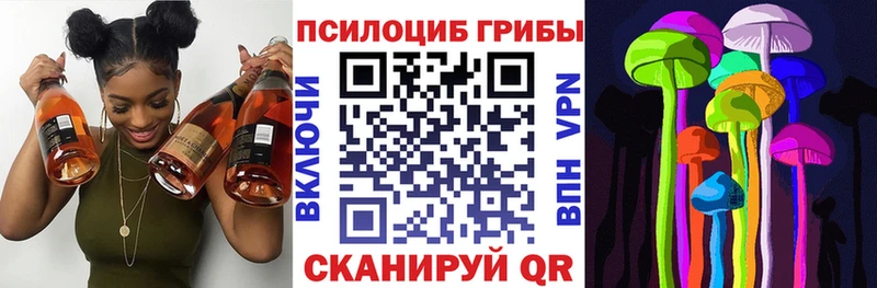 где купить наркоту  Краснознаменск  Псилоцибиновые грибы мицелий 